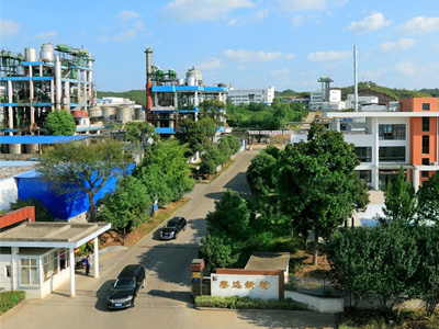 企业全景 